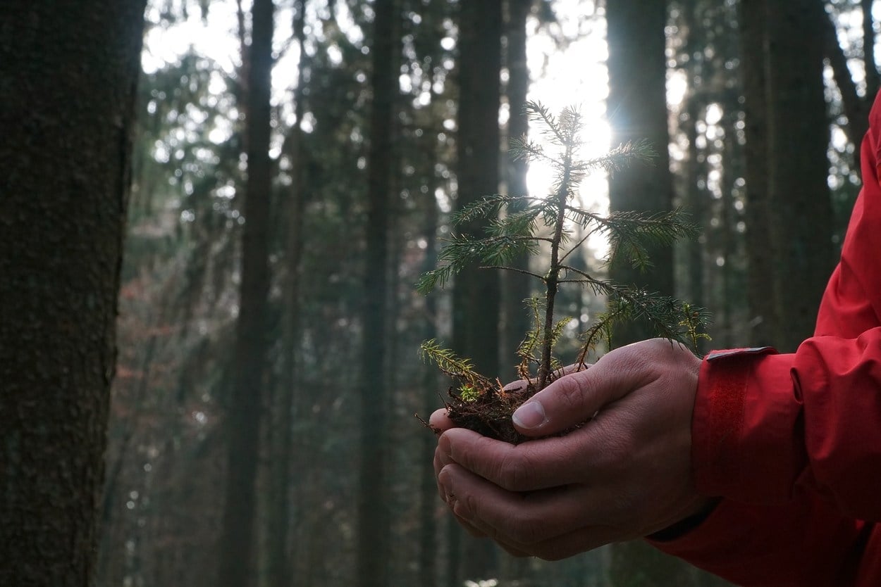 ENGAGEMENT CLIMATIQUE ET ENVIRONNEMENTAL
