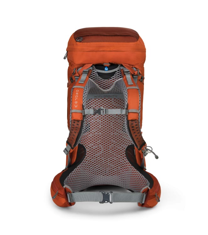 2015arch_ osprey