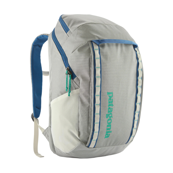 Patagonia Black Hole Pack 32L Beige