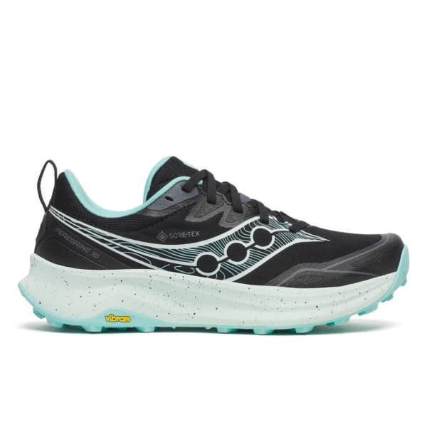 Saucony PEREGRINE 16 GTX Femme Noir