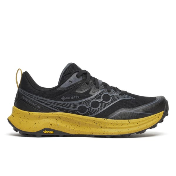 Saucony PEREGRINE 16 GTX Homme 
