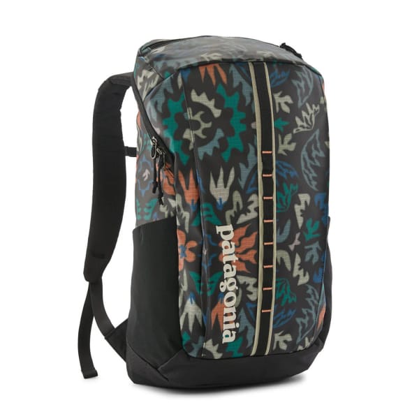 Patagonia Black Hole Pack 25L Zwart