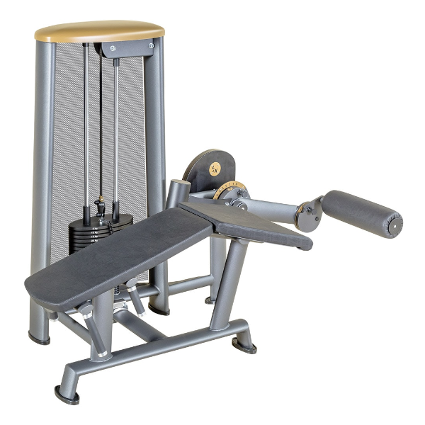 L+K Lying Leg Curl - E - 80Kg 