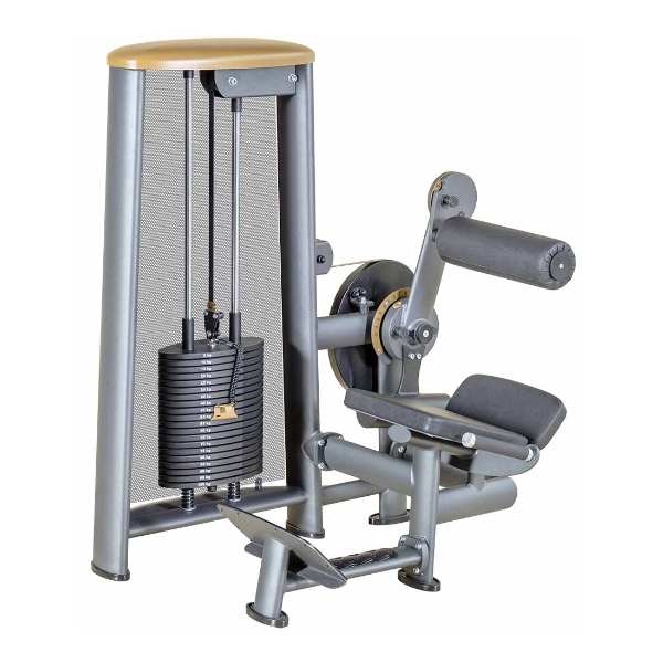 L+K Lower Back - E - 100Kg 