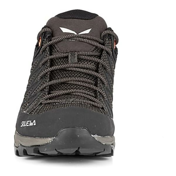Salewa Mountain Trainer Lite Gore-Tex Vrouwen Grijs