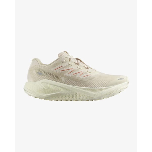 Salomon AERO BLAZE 3 GRVL Femme 