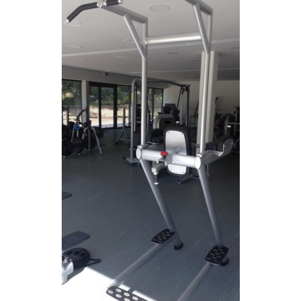 L+K Roman Chair With Pull Up Bar 